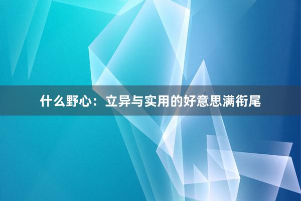 什么野心：立异与实用的好意思满衔尾
