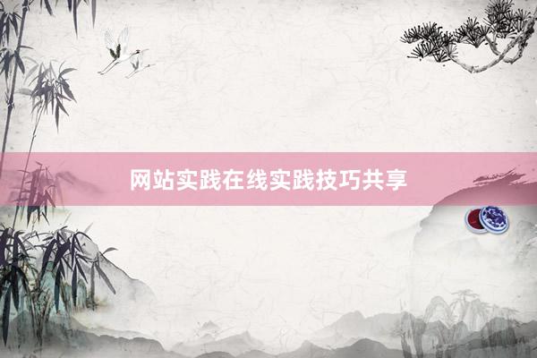 网站实践在线实践技巧共享