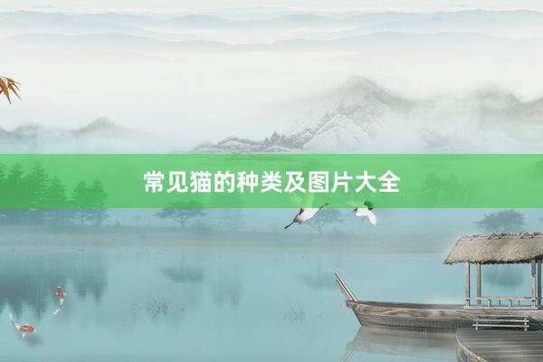 常见猫的种类及图片大全