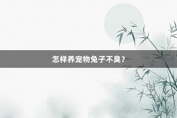 怎样养宠物兔子不臭?