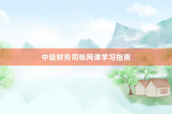 中级财务司帐网课学习指南